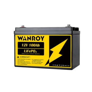 Wanroy Batteria LifePO4 12V 100Ah con 100A BMS